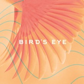 Bird's Eye - Giants