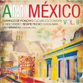 A Mi México, Vol. II artwork
