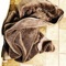 Blue Owl - Heavy Towels lyrics