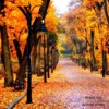 Autumn Hymns - EP