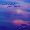 Not What You Need - Single