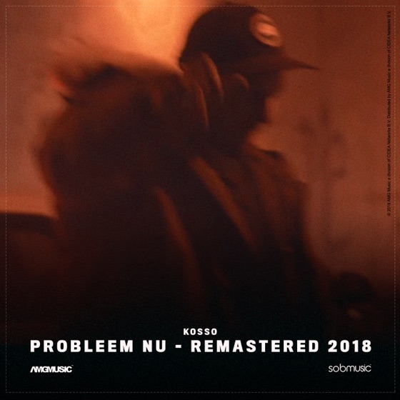 Cover artwork for Probleem Nu