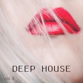 Deep House, Vol.3 artwork