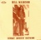 Bathroom Floor Into Lamplight - Bill Madison lyrics