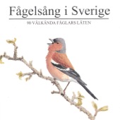 Fågelsång i Sverige (90 välkända fåglars läten) artwork
