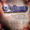 Palomo - Y Sufrirás
