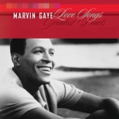 Marvin Gaye - Distant Lover
