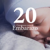 20 Canciones para el Embarazo: Música Relajante New Age para Calmar Mente y Cuerpo artwork