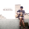 Seagull, 2011