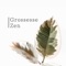 Aromathérapie (Accouchement naturel) - Joshua Monite lyrics