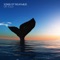 Orcas Calling - Mr. Yoga lyrics