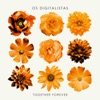 Together Forever - Single