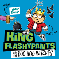 Andy Riley - King Flashypants and the Boo-Hoo Witches: King Flashypants, Book 4 (Unabridged) artwork