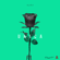 Única - Ozuna