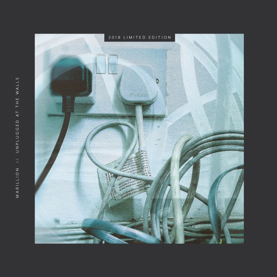 Cover artwork for Fake Plastic Trees