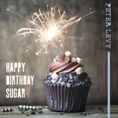 Happy Birthday Sugar - Single by Peter Levy album reviews, ratings, credits