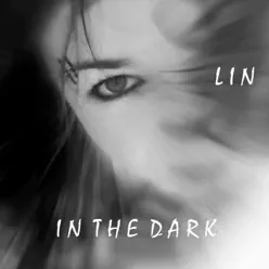 In the Dark - Single - Lin In the Dark - Single - Lin