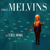 Melvins - A History of Bad Men