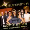 What a Wonderful World (Superstar) - Single album lyrics, reviews, download