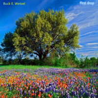 Buck E. Wetzel & Michael B. Gillan - First Drop artwork