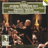 Symphony No. 9 in E Minor, Op. 95, B. 178 "From the New World": III. Molto vivace artwork