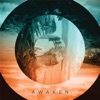 Music Within - Evolve and Grow
