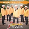 Cardenales de Nuevo León - Belleza de Cantina
