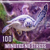 100 Minutes No Stress - Relaxing Music for Natural Stress Relief, Instrumental Background & Soothing Nature Sounds Collection artwork