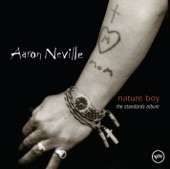 Aaron Neville - Blame It On My Youth