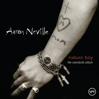 Since I Fell for You by Aaron Neville song reviws