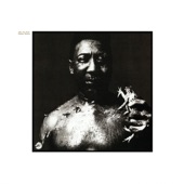 Bottom Of The Sea by Muddy Waters