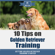 Mav4Life - 10 Tips on Golden Retriever Training: Getting Golden Retriever Training Started! (Unabridged)