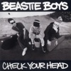 Check Your Head, 1992