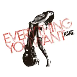 Everything You Want - Kane
