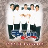 Grupo Bryndis - Tu Adiós