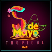 Cinco De Mayo Tropical, Vol. 2 artwork