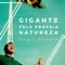 Gigante Pela Própria Natureza - Regis Danese lyrics