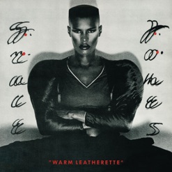 WARM LEATHERETTE cover art