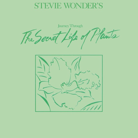 Cover artwork for Venus' Flytrap And The Bug