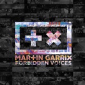 Forbidden Voices artwork