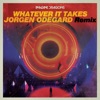 Imagine Dragons - Whatever It Takes