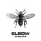 Elbow - Lost Worker Bee