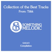 Collection of the Best Tracks from: Tiikk artwork