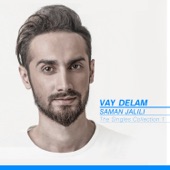 The Singles Collection: Vay Delam artwork