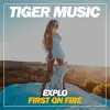 First On Fire - Single album lyrics, reviews, download