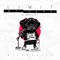 Limit - We Rabbitz & WR GANG lyrics