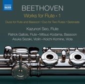 Beethoven: Works for Flute, Vol. 1 artwork