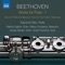 Serenade for Flute, Violin & Viola in D Major, Op. 25: II. Tempo ordinario d'un menuetto artwork