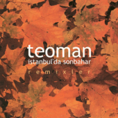 İstanbul'da Sonbahar (Remixler) - EP - Teoman