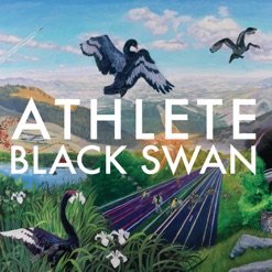 BLACK SWAN cover art